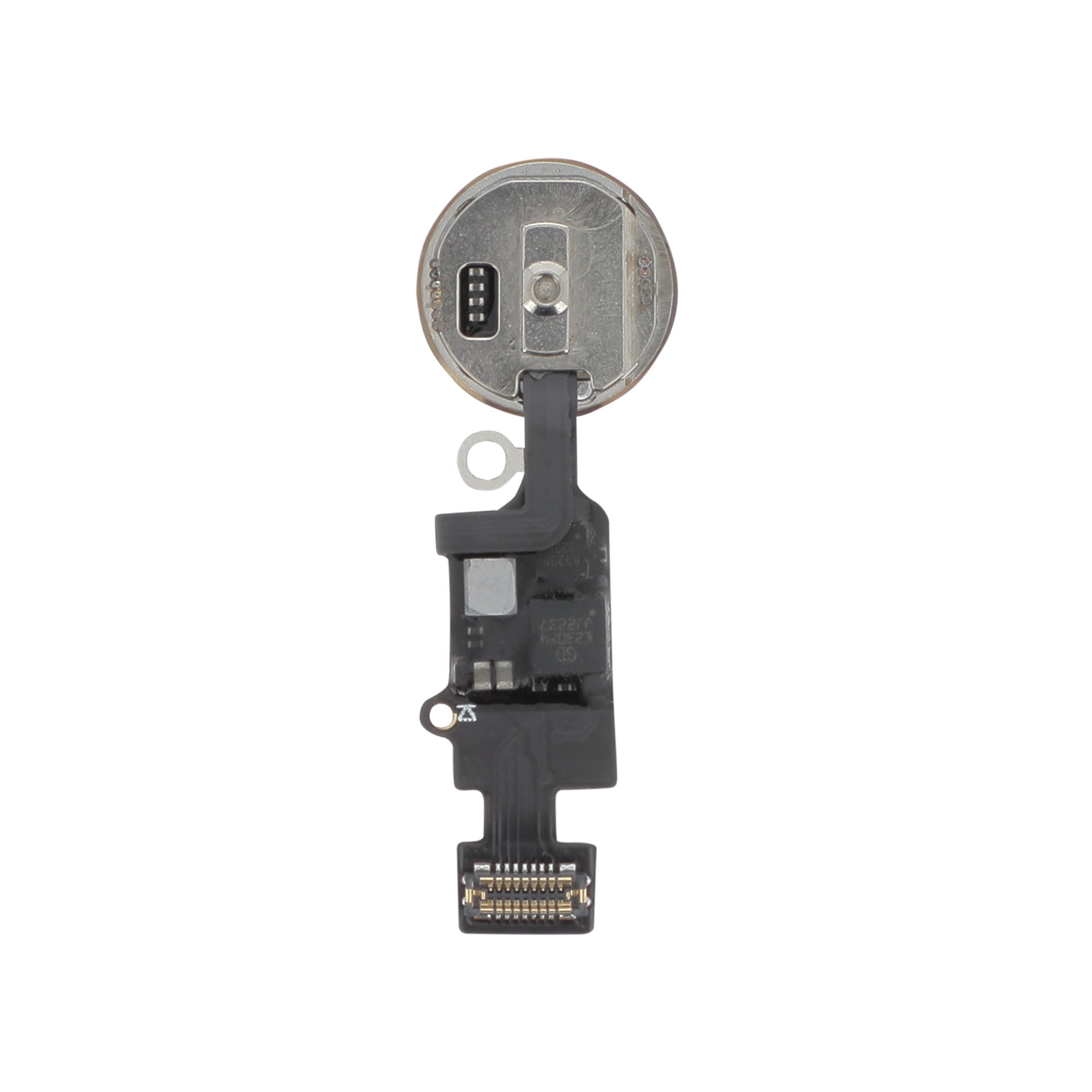 Home Button 3D iPhone 7 / 7 Plus / 8 / 8 Plus / SE (2020) Rose