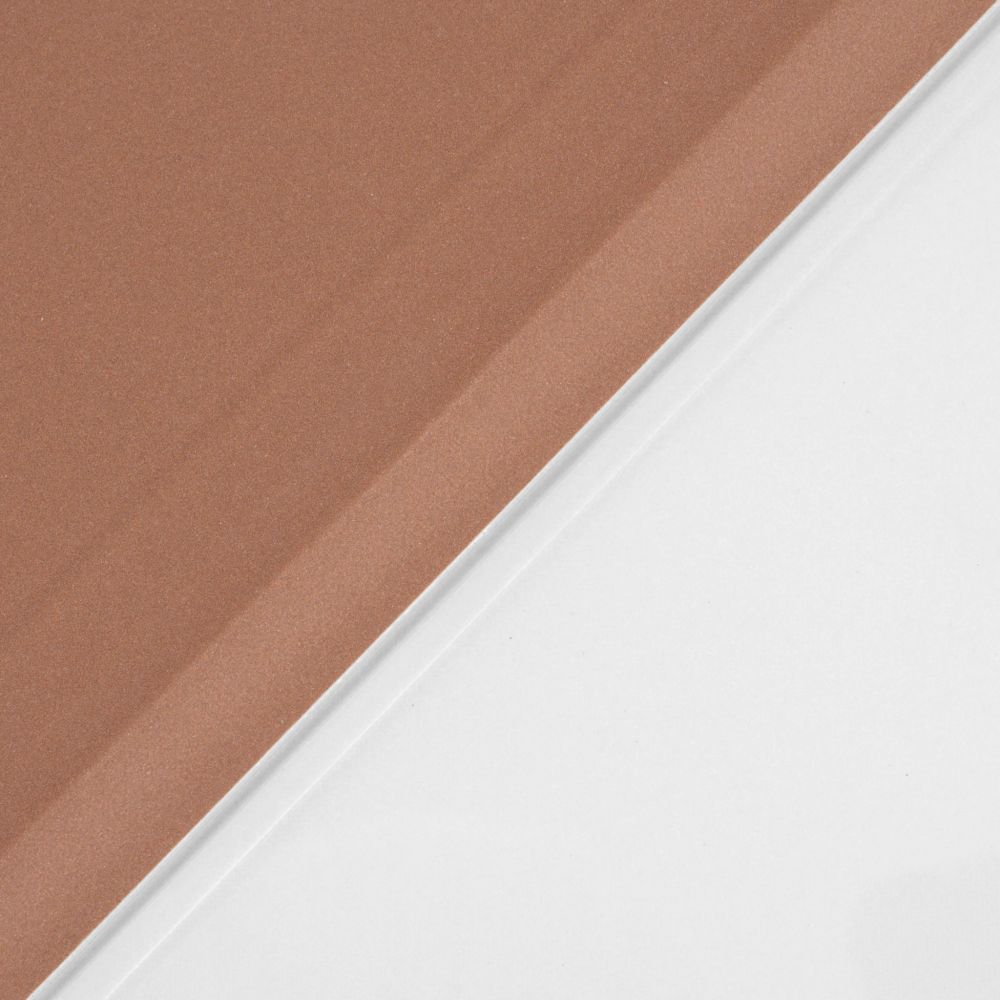 Husă magnetică cu spate transparent și colțuri întărite iPad 7 / 8 10.2 inch - Rose Gold