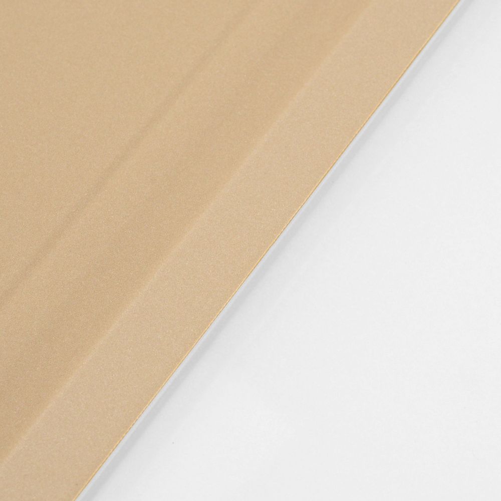 Husă magnetică cu spate transparent și colțuri întărite iPad 7 / 8 10.2 inch, Auriu