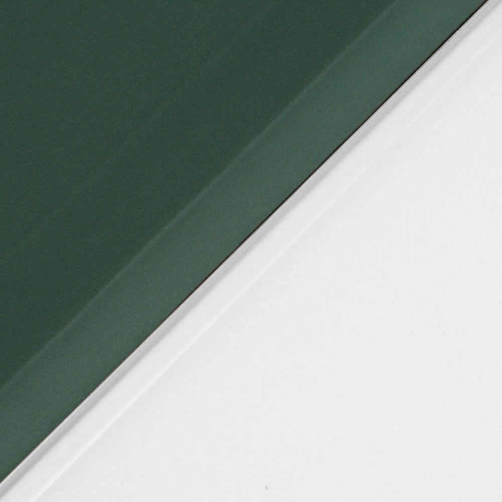 Husă magnetică cu spate transparent și colțuri întărite iPad Pro 11 inch (2018/2020) - Dark Green