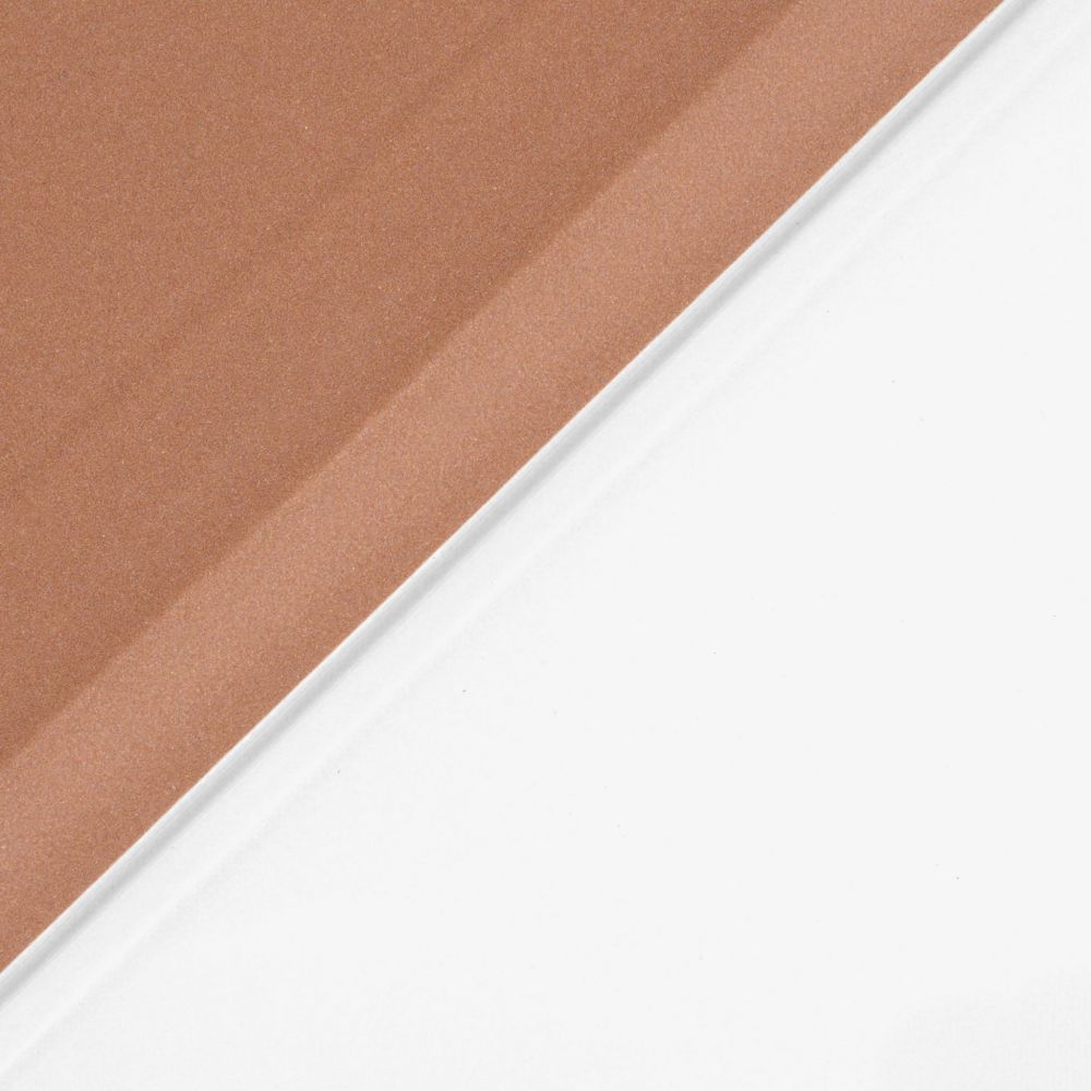 Husă magnetică cu spate transparent și colțuri întărite iPad Air 4 10.9 inch - Rose Gold
